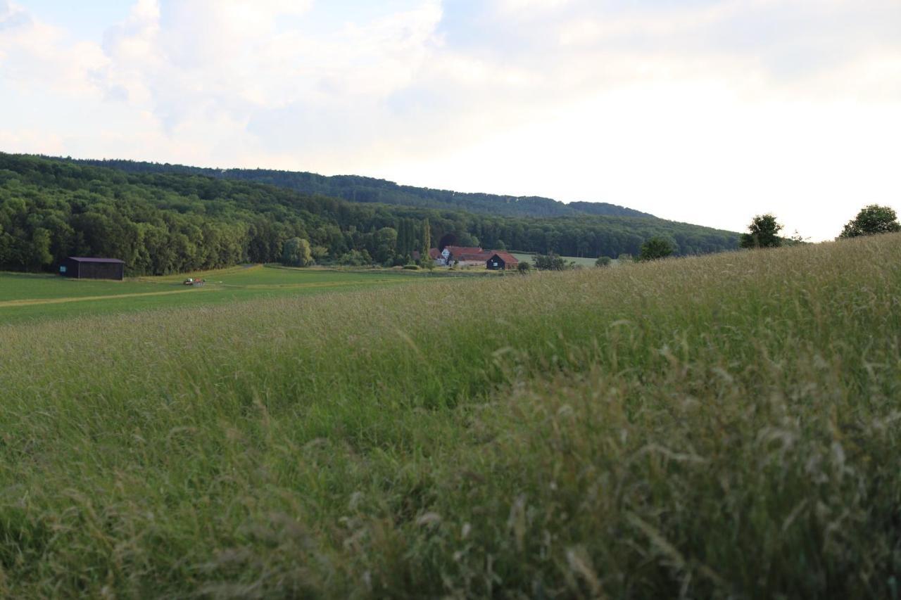 Landhaus "Am Sonnenberg" Hotel Diekholzen Buitenkant foto